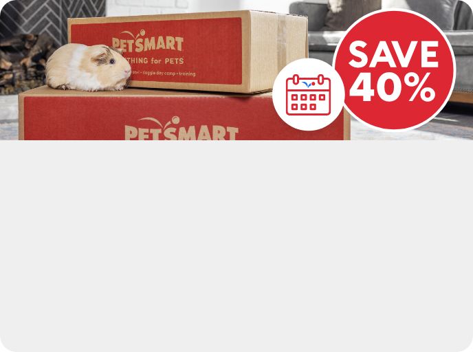 Save 40% callout, Autoship icon and a gerbil sitting on top of PetSmart shipping boxes