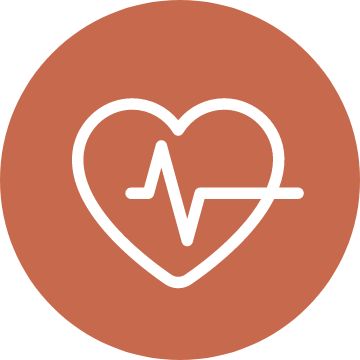 Heart & liver icon