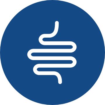 Digestive icon