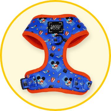 Disney dog harness