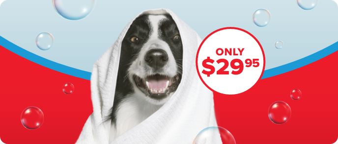 Petsmart grooming service best sale