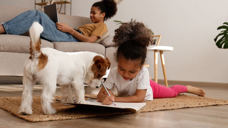 Bringing Home A New Dog: What You Need to Know