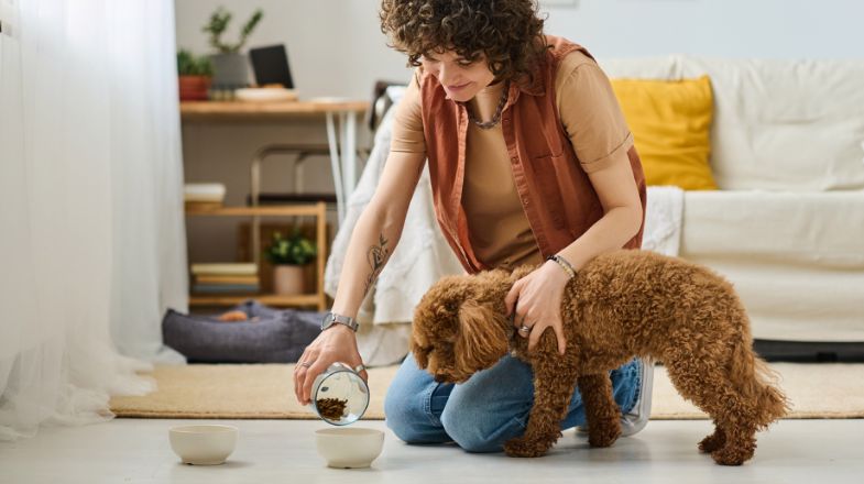 Safely Changing Your Dog’s Diet