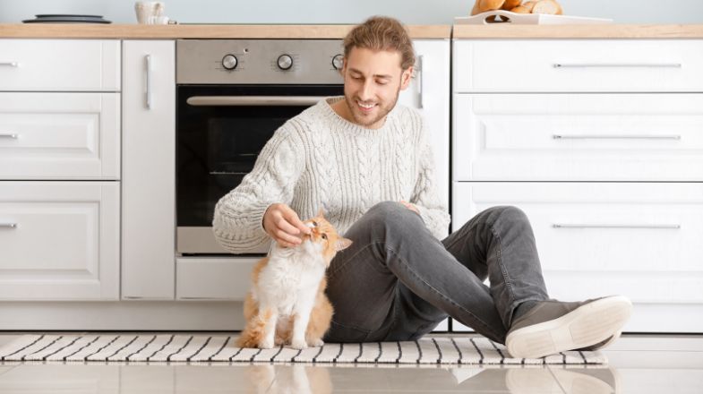 Cat Food for Healthy Skin and Coat