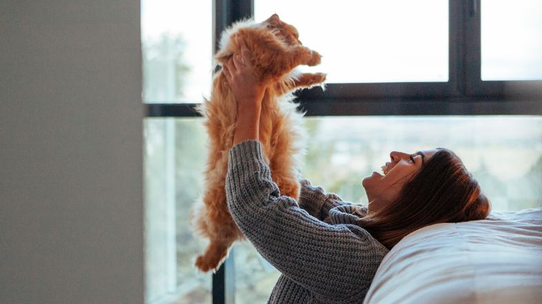 Should I Adopt a Cat?