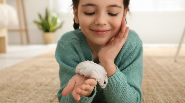 Hamster in girls hand