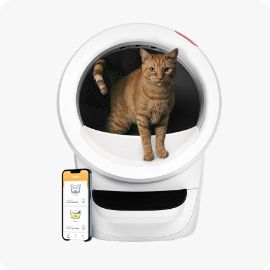 Petsmart hot sale cat supplies