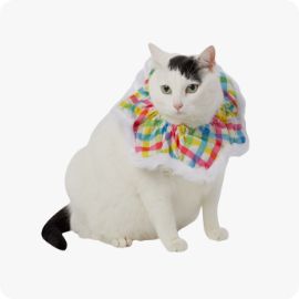 Petsmart shop cat products