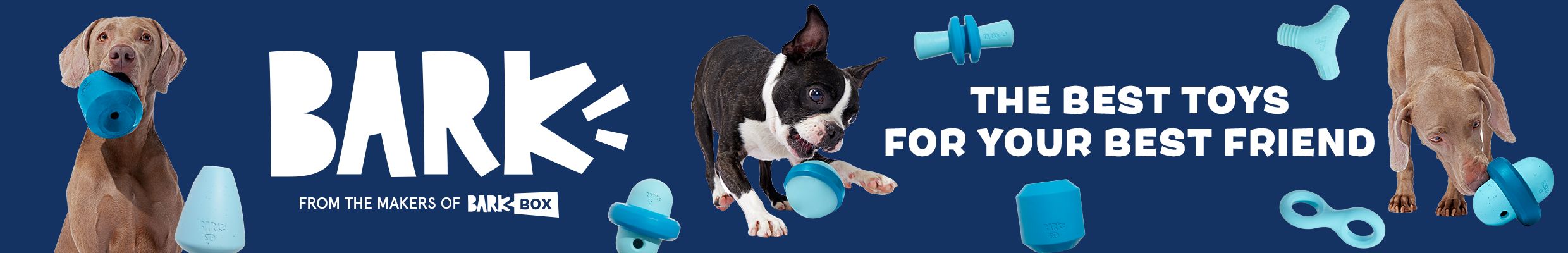 dogs playing with blue toys