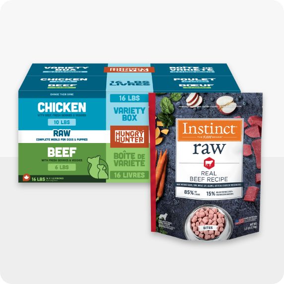 Frozen Raw Dog Food PetSmart Canada