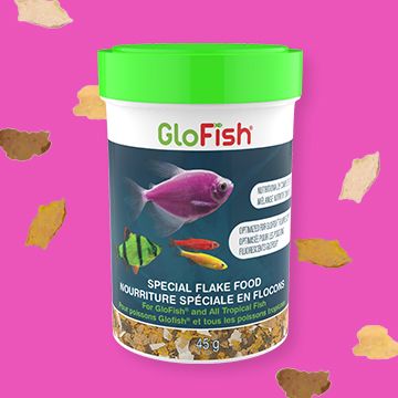 Image of GloFish fish food flakes