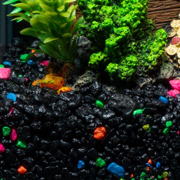 GloFish Plant Large Orange & Yellow Tank Accessory – Petsense