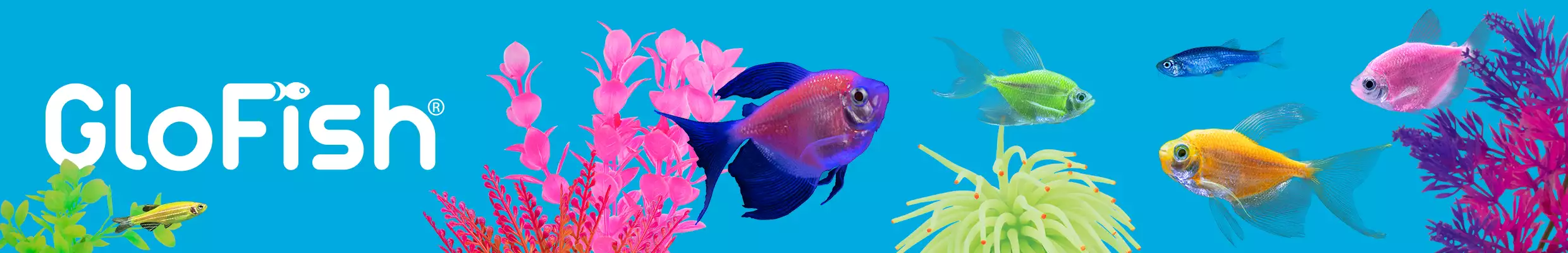 Image of fish swimming through plants with GloFish logo