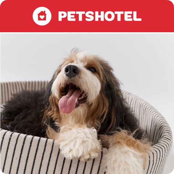 PetsHotel logo and a dog laying in a bed