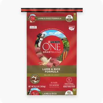 Bag of Purina ONE food