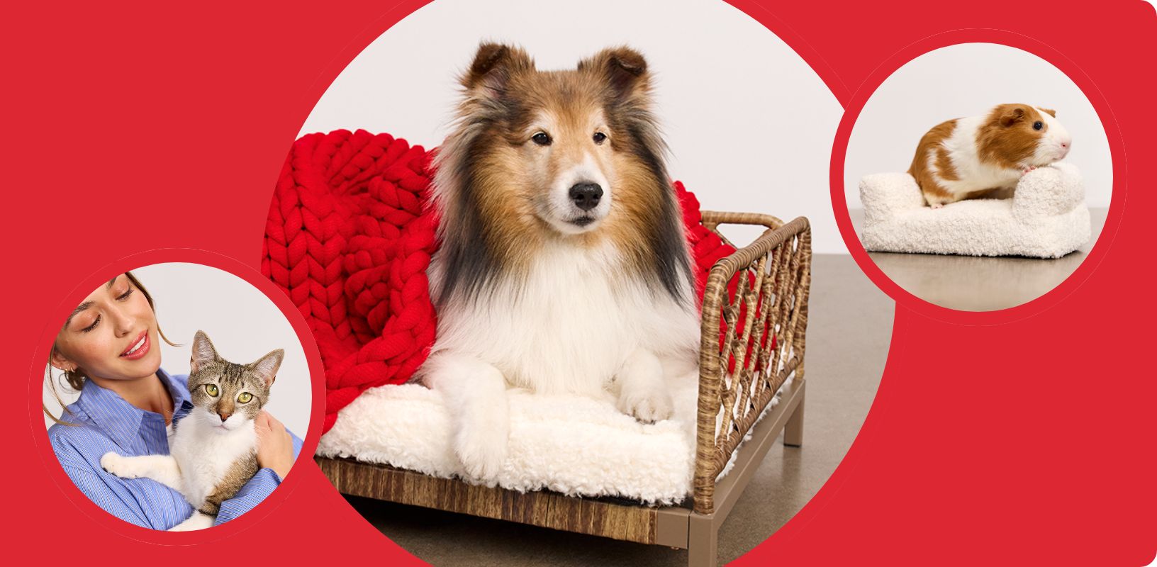 A woman holding a cat, a dog laying on a bed with a red blanket and a small pet laying on a pet