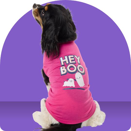 Dog wearing a pink Halloween tee