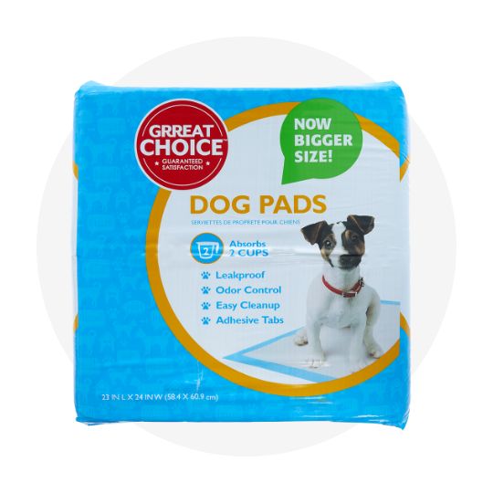 Best dog supplies online sale
