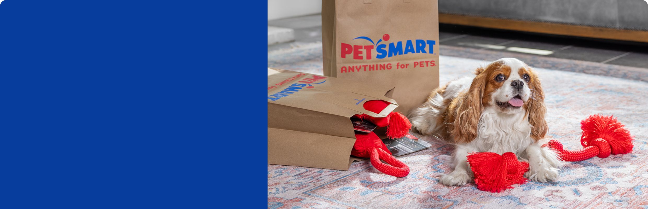 small dog with petsmart bags