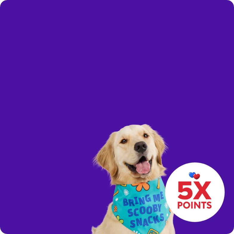 5X points callout and a dog wearing a Scooby-Doo bandana