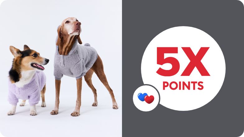 5X points callout, blue & red heart graphics and two dogs wearing jackets