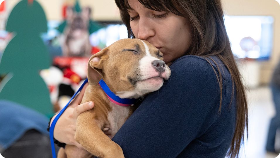 Puppy store near me best sale