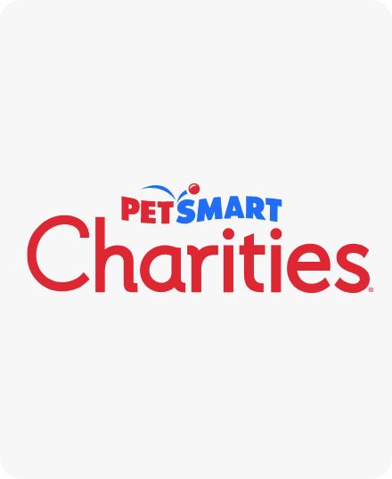 Pet Supplies Accessories and Pet Food Pet Stores PetSmart