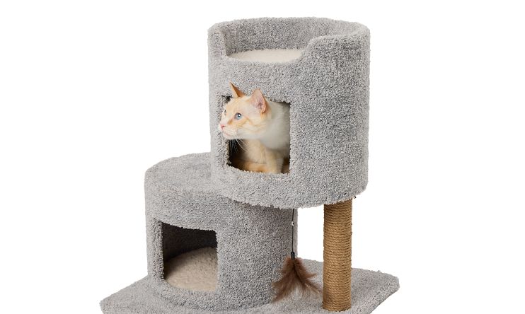 Petsmart cat supplies hotsell