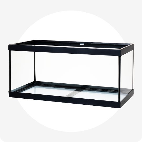 Open-glass aquarium