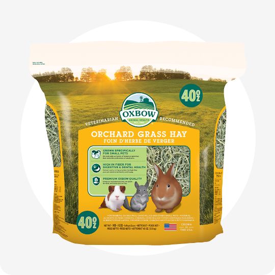 Pet food online usa best sale