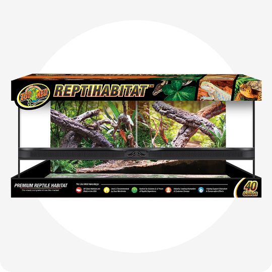 Open-glass terrarium