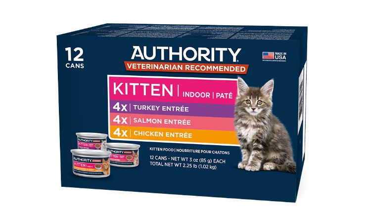 Cheap cat supplies near me best sale