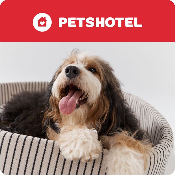 PetsHotel logo and dog laying in a dog bed