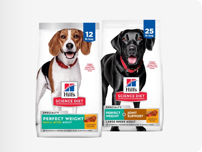 Two bags of Hill's Science Diet Perfect Weight dog food