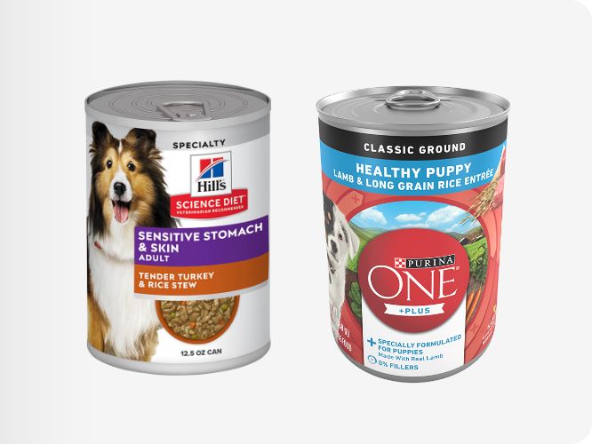 Two cans of wet dog food