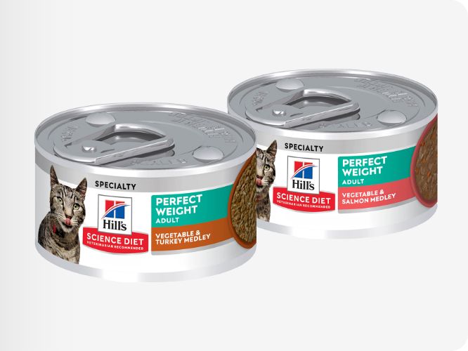 Two cans of Hill's Science Diet Perfect Weight cat food