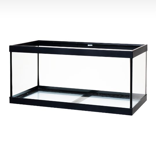 Open-glass aquarium