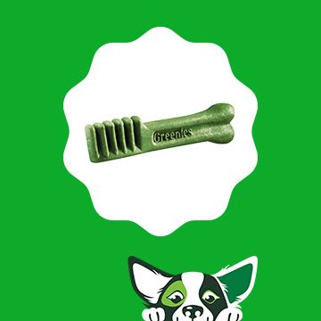 Greenies Dental Chews Pill Pockets Treats PetSmart