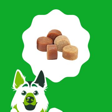 Vegetarian pill outlet pockets for dogs