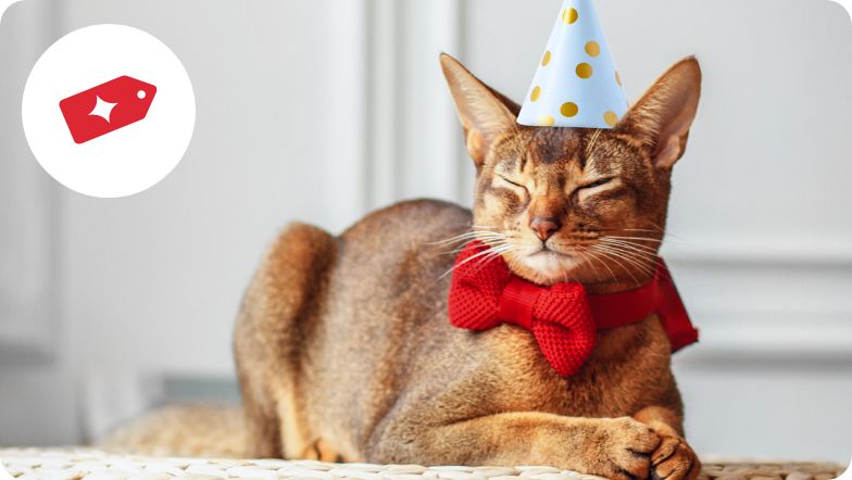 A cat with a party hat and a gift tag icon