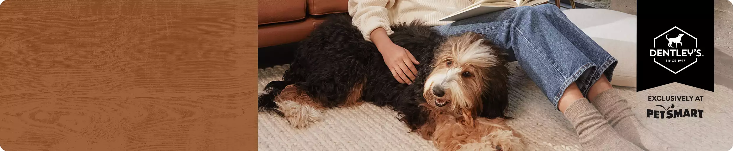Large dog with crop of pet parent from waist down in home setting, exclusively at PetSmart text and Dentley's logo