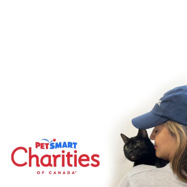 Pet Supplies, Accessories, and Pet Food - Pet Stores | PetSmart