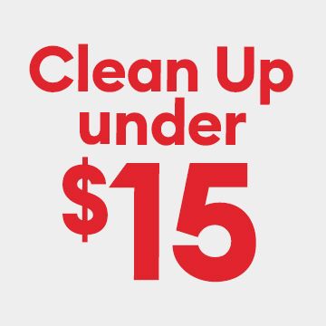 Clean up under $15