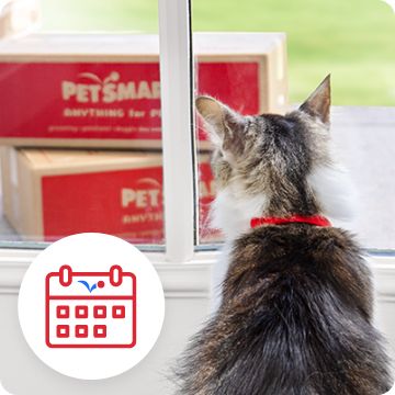 Petsmart best sale flea pills