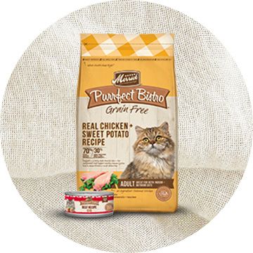 Merrick Dog Food Cat Food Merrick Dog Treats PetSmart