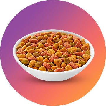 Indoor dry cat food in bowl