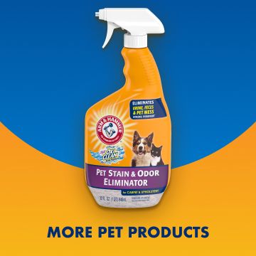 Arm and Hammer Cat Litter Pet Toothpaste More PetSmart