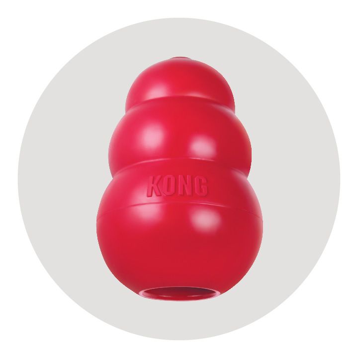 KONG®: Dog & Puppy Products