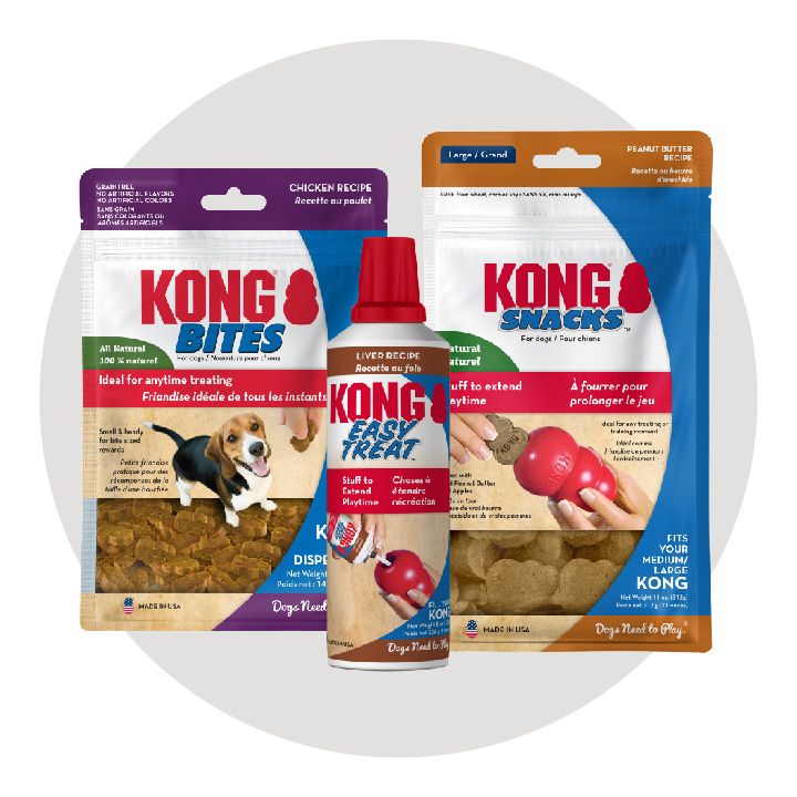 KONG Dog Puppy Products PetSmart