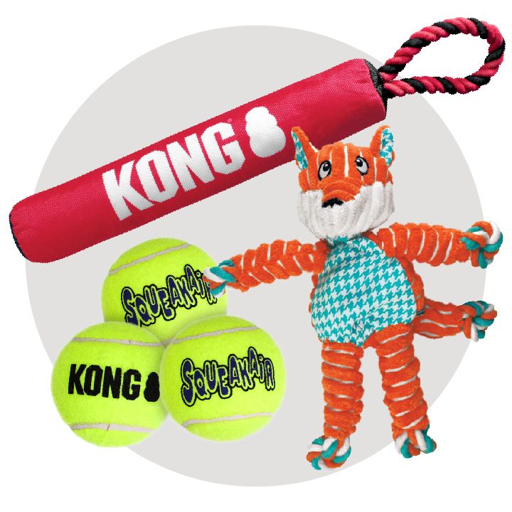 Kong wobbler petsmart best sale